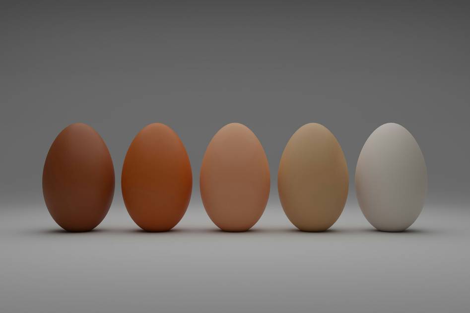 Homepage for Home Improvement Kitchen Appliances & Tools egg poachers