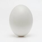 Cooking Tool Egg Ring: The Secret to Perfectly Round Poached Eggs Every Time
