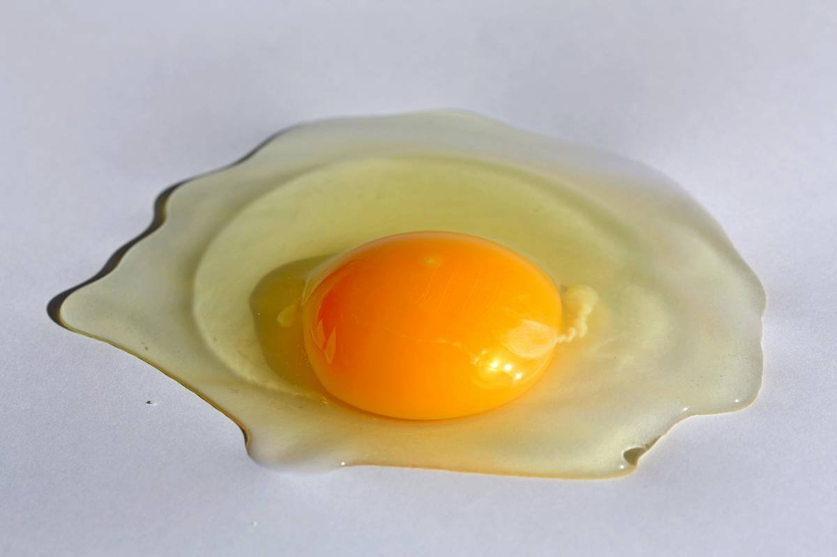 Close-up of norpro silicone egg poacher showing non-stick interior and flexible material