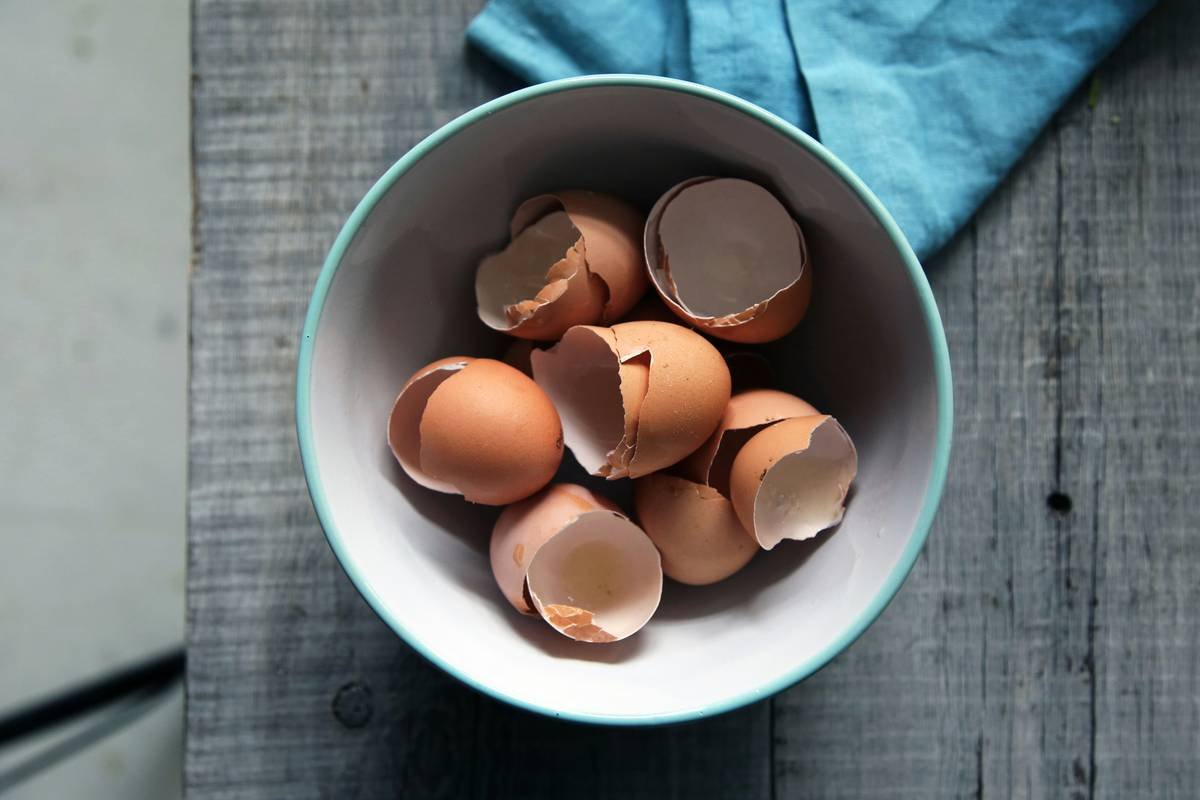The Best Tool for Breaking Eggs Without Shell Chaos