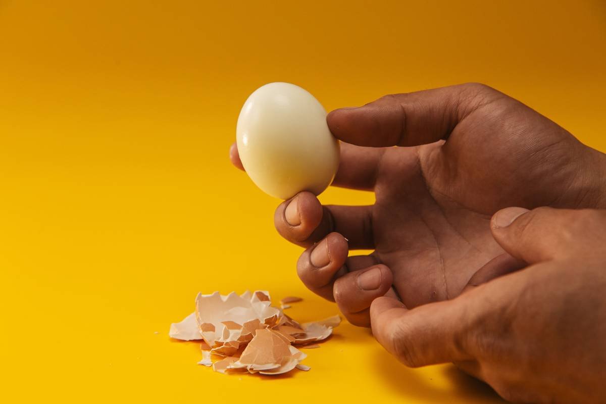 Sistema Egg Poacher Instructions: 7 Proven Tips to Avoid Painful Breakfast Mistakes